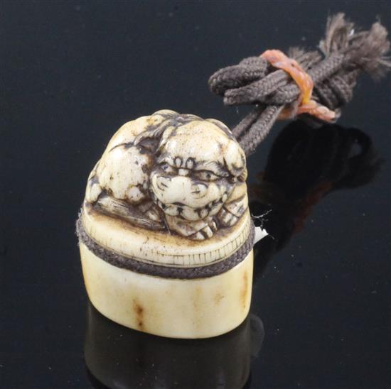 A Japanese stag antler netsuke of a shi-shi, Asakuso School, Edo period, 3.8cm